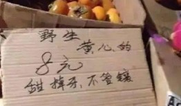 猕猴桃最新爆料文案怎么写,最新爆料带你领略果界新宠风采