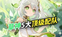 原神草神最新爆料,原神全新角色神秘面纱揭晓