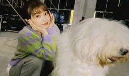 爆料娱乐圈虞书欣是谁呀,揭秘爆红新星背后的故事