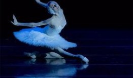 独舞天鹅爆料视频,视频背后惊人真相曝光