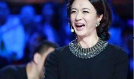 金星爆料沈楠简介视频播放,揭秘明星背后的故事